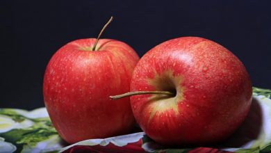 Bild von Beeren, Äpfel, Rotwein können Ihren Blutdruck verbessern  Gesundheitsinfo